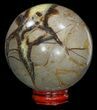 Polished Septarian Sphere - With Stand #43858-2